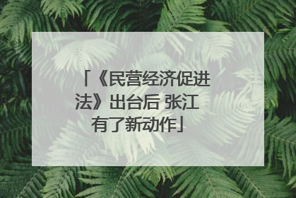 《民营经济促进法》出台后 张江有了新动作
