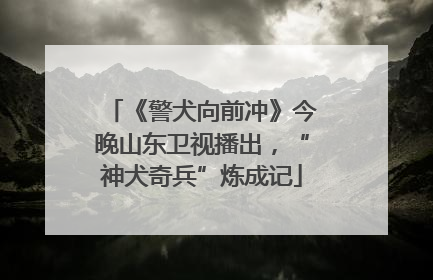 《警犬向前冲》今晚山东卫视播出，“神犬奇兵”炼成记