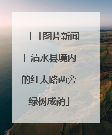 「图片新闻」清水县境内的红太路两旁绿树成荫