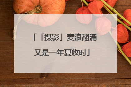 「摄影」麦浪翻涌 又是一年夏收时
