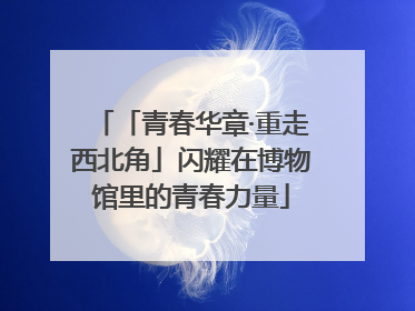 「青春华章·重走西北角」闪耀在博物馆里的青春力量
