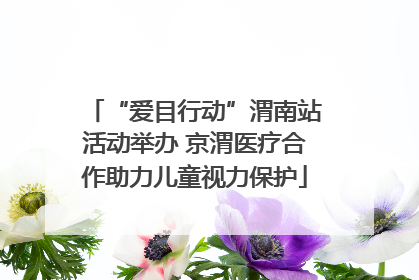 “爱目行动”渭南站活动举办 京渭医疗合作助力儿童视力保护