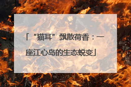 “猫耳”飘散荷香：一座江心岛的生态蜕变