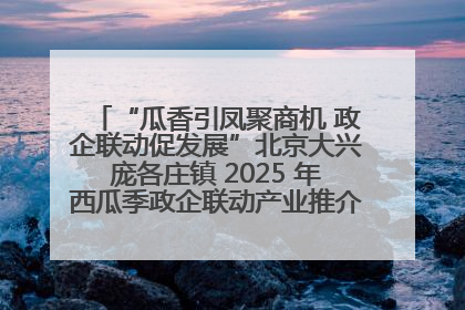 “瓜香引凤聚商机 政企联动促发展”北京大兴庞各庄镇 2025 年西瓜季政企联动产业推介活动圆满举行