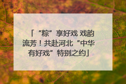 “粽”享好戏 戏韵流芳！共赴河北“中华有好戏”特别之约