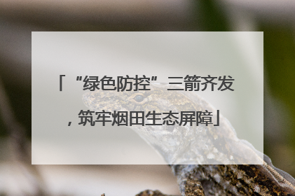 “绿色防控”三箭齐发，筑牢烟田生态屏障