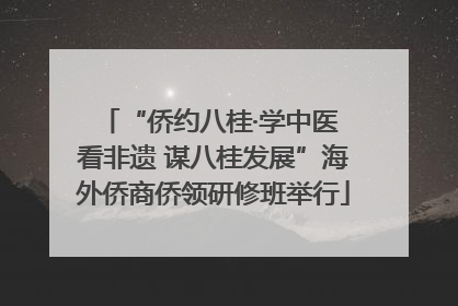 “侨约八桂·学中医 看非遗 谋八桂发展”海外侨商侨领研修班举行
