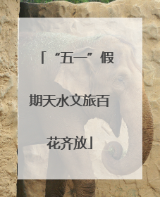“五一”假期天水文旅百花齐放
