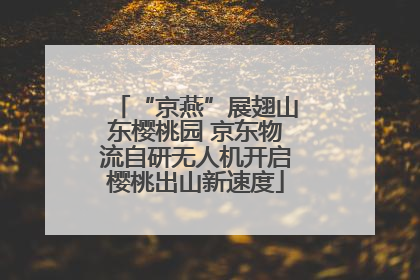 “京燕”展翅山东樱桃园 京东物流自研无人机开启樱桃出山新速度