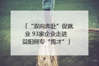 “双向奔赴”促就业 93家企业走进益阳师专“揽才”