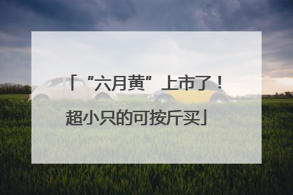 “六月黄”上市了！超小只的可按斤买