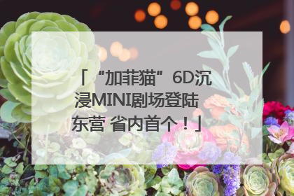 “加菲猫”6D沉浸MINI剧场登陆东营 省内首个！