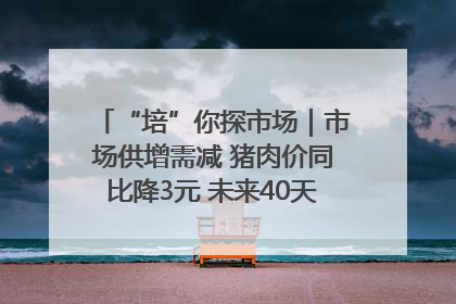 “培”你探市场｜市场供增需减 猪肉价同比降3元 未来40天便宜猪肉敞开吃