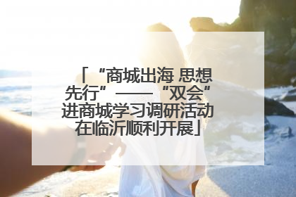 “商城出海 思想先行”——“双会”进商城学习调研活动在临沂顺利开展