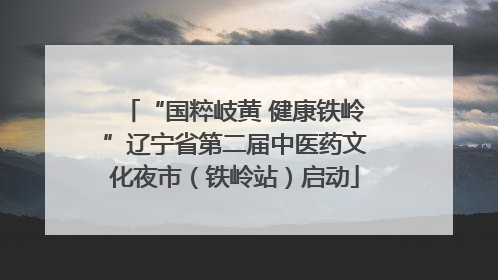 “国粹岐黄 健康铁岭”辽宁省第二届中医药文化夜市（铁岭站）启动