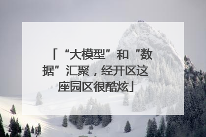 “大模型”和“数据”汇聚，经开区这座园区很酷炫