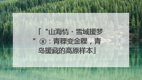 “山海情・雪域援梦”⑧：青稞变金稞，青岛援藏的高原样本