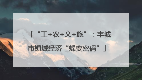 “工+农+文+旅”：丰城市镇域经济“蝶变密码”
