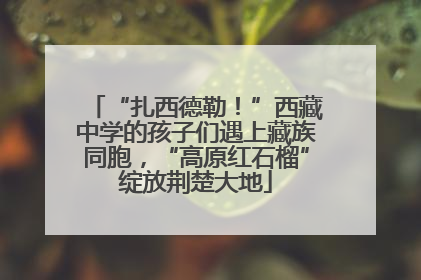 “扎西德勒！”西藏中学的孩子们遇上藏族同胞，“高原红石榴”绽放荆楚大地