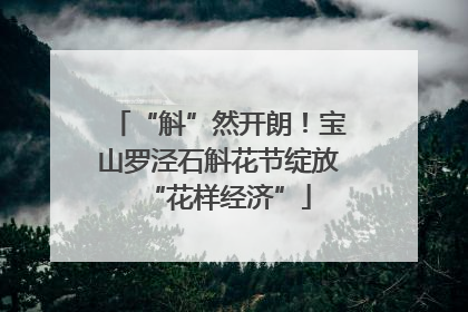 “斛”然开朗！宝山罗泾石斛花节绽放“花样经济”