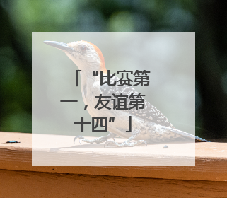 “比赛第一，友谊第十四”