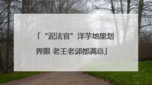 “泥法官”洋芋地里划界限 老王老郭都满意