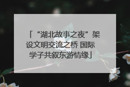 “湖北故事之夜”架设文明交流之桥 国际学子共叙东游情缘