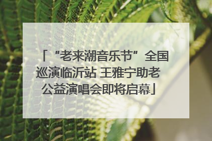 “老来潮音乐节”全国巡演临沂站 王雅宁助老公益演唱会即将启幕