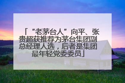 “老茅台人”向平、张贵超获推荐为茅台集团副总经理人选，后者是集团最年轻党委委员