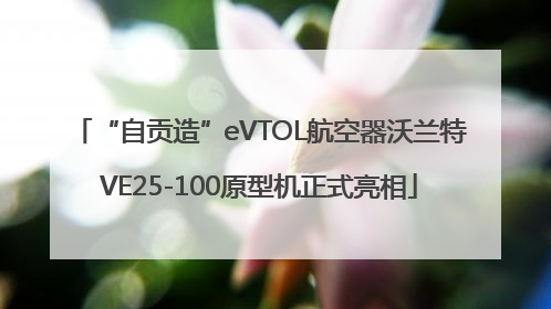 “自贡造”eVTOL航空器沃兰特VE25-100原型机正式亮相