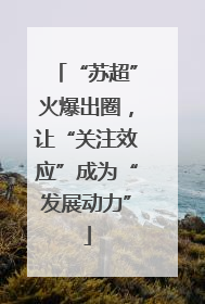 “苏超”火爆出圈，让“关注效应”成为“发展动力”
