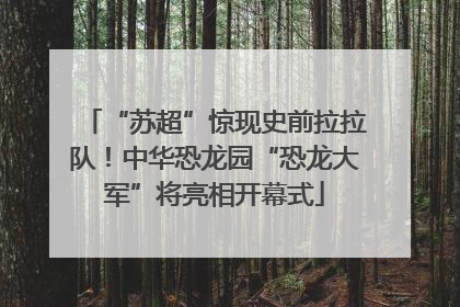 “苏超”惊现史前拉拉队！中华恐龙园“恐龙大军”将亮相开幕式