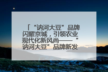 “讷河大豆”品牌闪耀京城，引领农业现代化新风尚——“讷河大豆”品牌新发地推介会圆满落幕