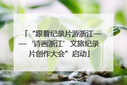 “跟着纪录片游浙江——‘诗画浙江’文旅纪录片创作大会”启动