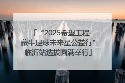 “2025希望工程·蒙牛足球未来星公益行”临沂站选拔圆满举行