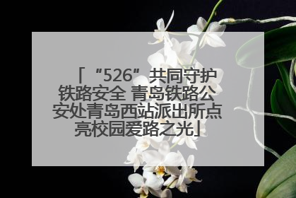 “526”共同守护铁路安全 青岛铁路公安处青岛西站派出所点亮校园爱路之光