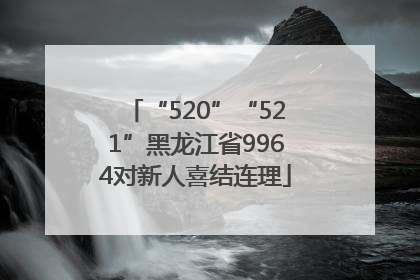 “520”“521”黑龙江省9964对新人喜结连理