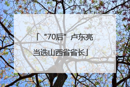“70后”卢东亮当选山西省省长