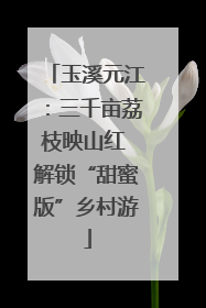 玉溪元江：三千亩荔枝映山红 解锁“甜蜜版”乡村游