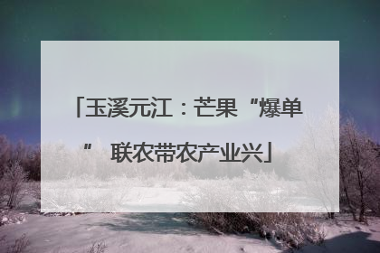 玉溪元江：芒果“爆单” 联农带农产业兴