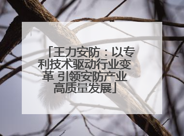 王力安防：以专利技术驱动行业变革 引领安防产业高质量发展