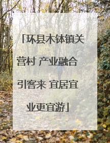 环县木钵镇关营村 产业融合引客来 宜居宜业更宜游