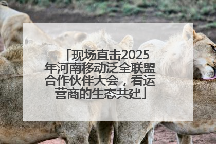 现场直击2025年河南移动泛全联盟合作伙伴大会，看运营商的生态共建