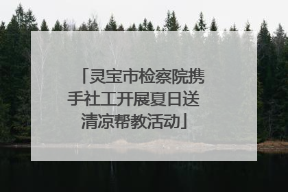 灵宝市检察院携手社工开展夏日送清凉帮教活动