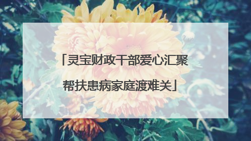 灵宝财政干部爱心汇聚 帮扶患病家庭渡难关