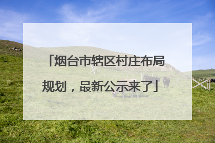 烟台市辖区村庄布局规划，最新公示来了