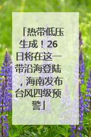 热带低压生成！26日将在这一带沿海登陆，海南发布台风四级预警