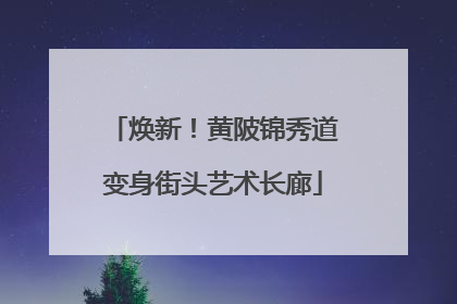 焕新！黄陂锦秀道变身街头艺术长廊