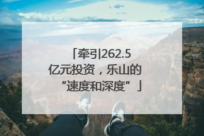 牵引262.5亿元投资，乐山的“速度和深度”