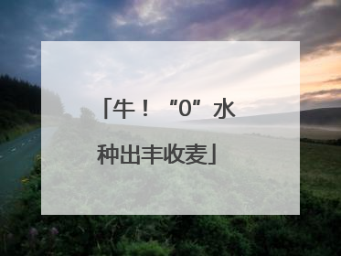 牛！“0”水种出丰收麦